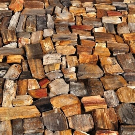 InduStone mozaika kamienna FOSIL WOOD STONE skamieniałe drewno 30 x 30 (1)