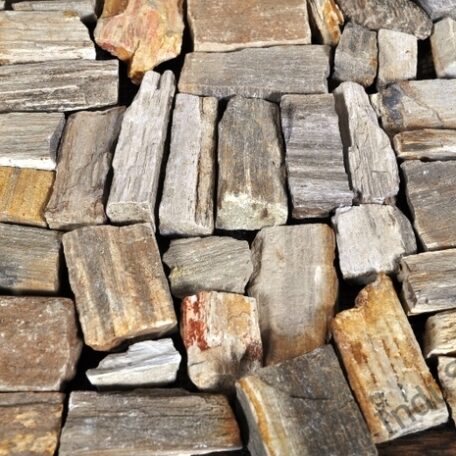 InduStone mozaika kamienna FOSIL WOOD STONE skamieniałe drewno 30 x 30 (3)