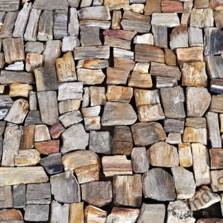 InduStone mozaika kamienna FOSIL WOOD STONE skamieniałe drewno 30 x 30 (6)
